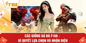 Các Giống Gà Đá F168 – Bí Quyết Lựa Chọn Và Nhận Diện