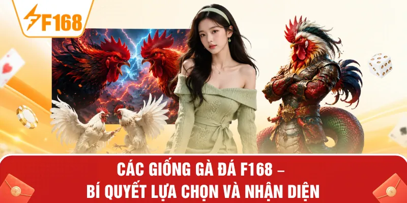 Các Giống Gà Đá F168 – Bí Quyết Lựa Chọn Và Nhận Diện